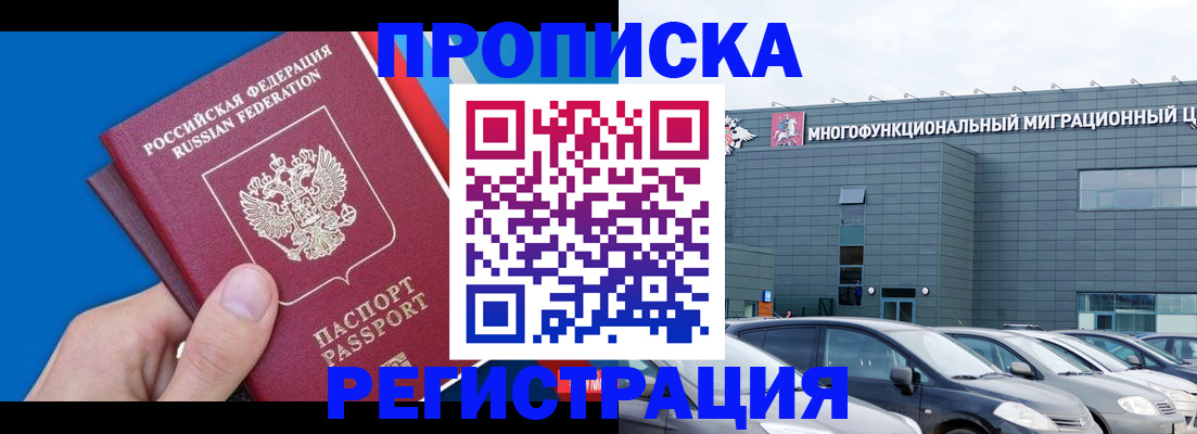 прописка для школы в Волосово